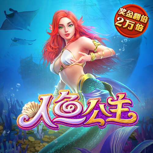 王中王资料大全枓大全正使用教程